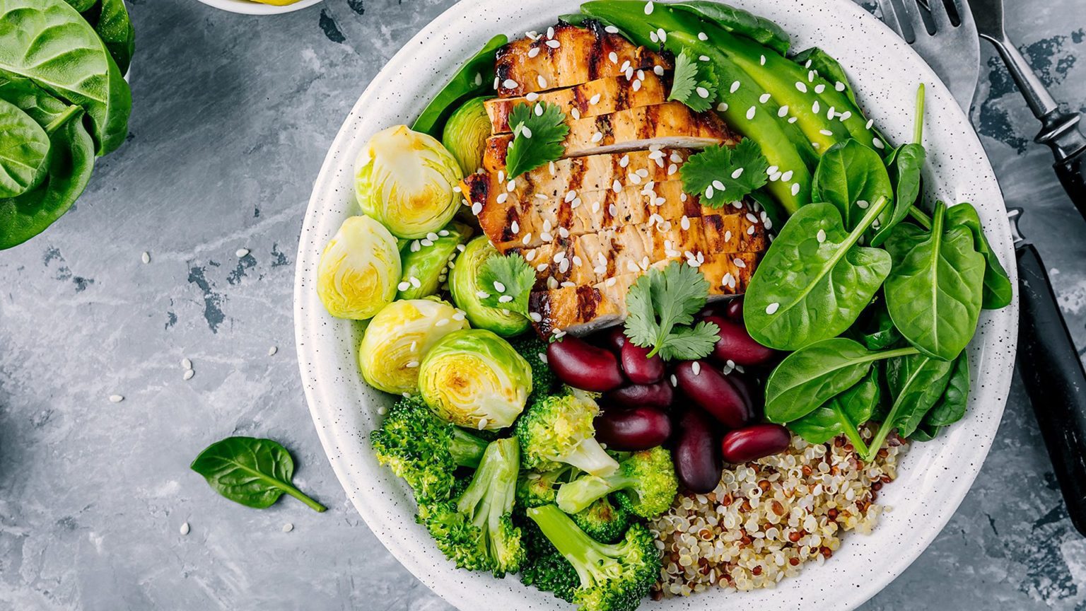 BEST DIET For A Soccer Player All Questions Answered